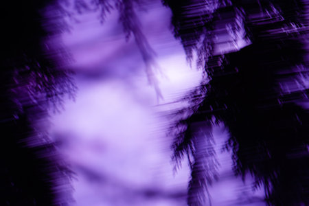 Frightening darkness blurred texture. Defocused Halloween night garden.の写真素材