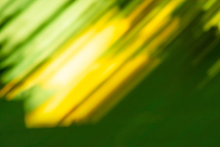 Abstract green blurred background under the bright sun. Green nature blurred background.