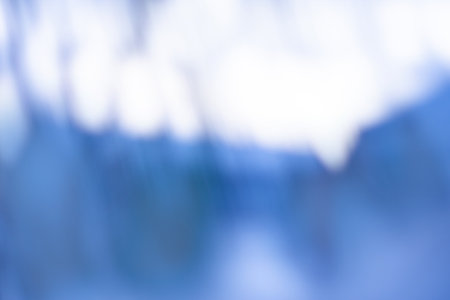 Winter beautiful frosty evening blurry unfocused photographic effectの写真素材