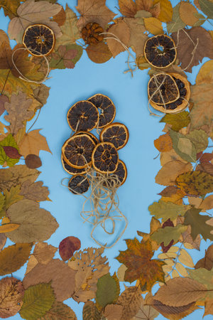 Autumn concept frame background. Leaf frame with dry citrus fruits slices of oranges and mandarins.の写真素材