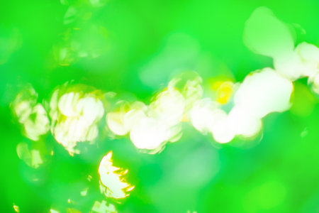 Green blurred colored abstract background. Green defocused bokeh background intentionally blurred editing.の写真素材