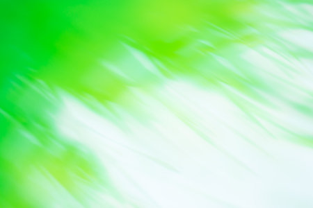 Green grass wild meadow blurred bio backgrounds. Ornamental bokeh grasses in natural sunlight.の写真素材