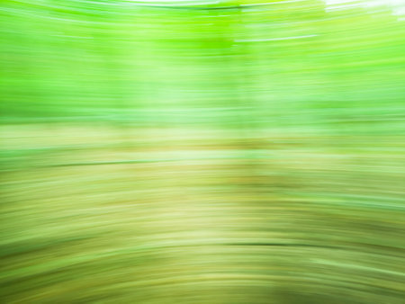 Defocus spring green tree garden or park in summer background. Defocus spring foliage countryside blurred backdrop.の写真素材