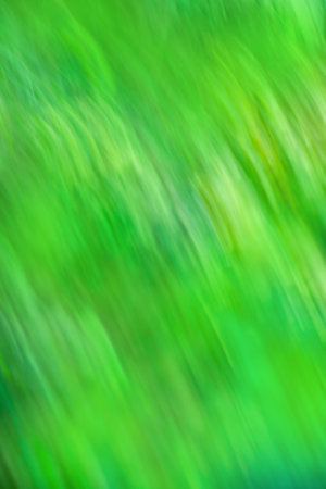 Natural summer vacation background with sun rays. Soft defocused spring background with sunlight bokeh.の写真素材