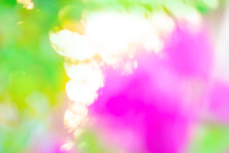 Copyspace flower bokeh blurry effect background. Blurry bokeh flower background.の写真素材