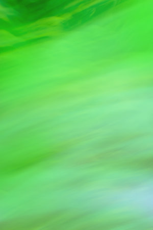 Grasses in the meadow blurred background. Green blurred background and sunlight.の写真素材