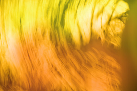 Autumn landscape blurred background. Blurred autumn background with sunburst.の写真素材