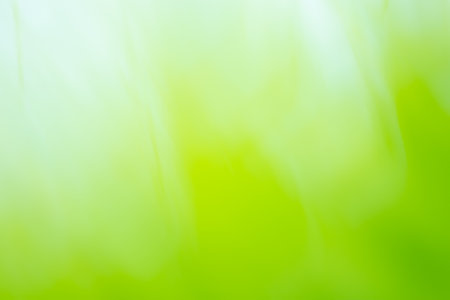 Grass plant on summer morning sunrise blurred background.の写真素材