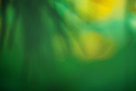Blur beautiful nature palm leaf nature background.の写真素材