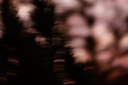 Halloween night blurred texture. Black and white photo. Frightening darkness mystical scary blurred background.の写真素材