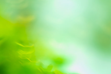 Glowing green nature background with sunburst. Abstract nature green background.の写真素材