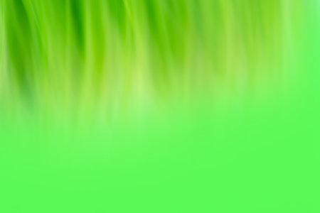 Juicy fresh green grass as a spring blurred background. Grass plant on summer morning sunrise blurred background.の写真素材