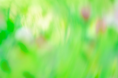 Bokeh green neutral light universal background. Neutral green light bokeh defocused universal background.の写真素材