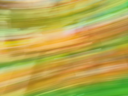 Golden autumn yellow grass field blurred bokeh background. Beautiful sunlight bokeh autumn background.の写真素材