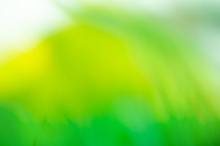Natural spring bokeh illuminated background. Spring nature bokeh background concept. Bright spring defocused.の写真素材