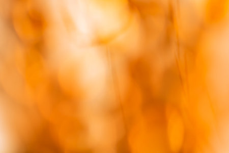 Blurry falling leaves bokeh background. Sunny abstract blurred bokeh backdropの写真素材
