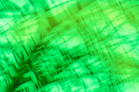 Bright spring grass field defocused. Abstract sunny spring defocused background.の写真素材