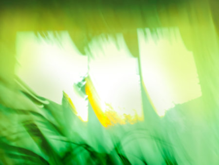 Blurry abstract coconut palm tree under blue sky on tropical beachの写真素材