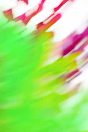 Leaves and flowers bokeh for nature background. Amazing blur and soft focus field of flowers in the garden.の写真素材