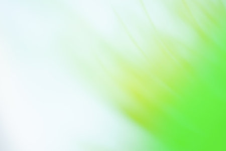 Fresh green grass blurred background. Amazing green plants blurred greenery backgroundの写真素材