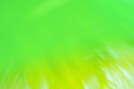 Green grass wild meadow blurred bio backgrounds. Ornamental bokeh grasses in natural sunlight.の写真素材