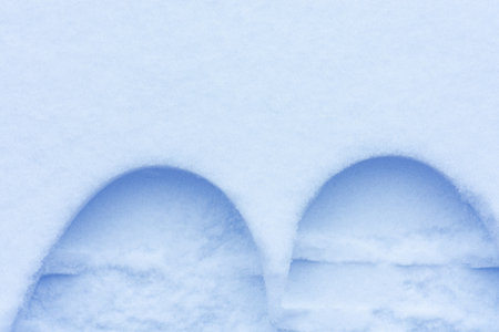 Shiny white snow texture on a winter sunny day. Tillable snow texture.の写真素材