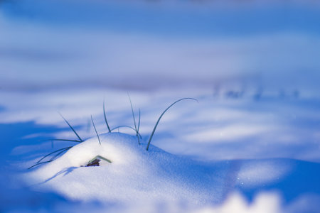 Abstract bright snowy background with copy space. Winter garden background with snow drifts. White...