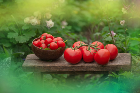 Natural juicy round red tomatoes with leaves on old retro vintage wooden texture background. Ripe red tomatoes in a basket on rustic wooden background.の写真素材