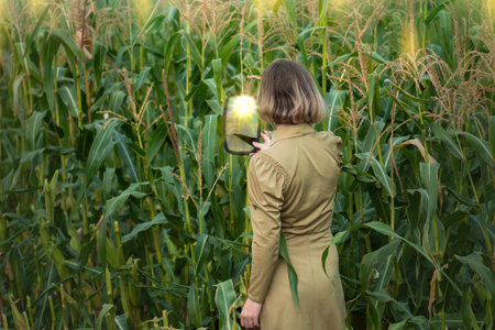 Model with a mirror in her hands outdoor in corn field. Reflection in the mirror of elegant young woman.の写真素材