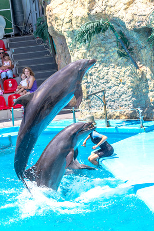 ODESSA, UKRAINE - JUNE 10, 2013: Dolphins on creative entertaining show at the dolphinarium with the full house of visitors show amazing tricks. Spectators happily delighted June 10, 2013 in Odessa, Ukraineのeditorial素材