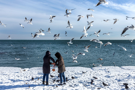 Odessa, Ukraine - January 19, 2016: Young girl feeds the hungry seagulls on the beach of the Black Sea winter. Hungry gulls circling over the people waiting for food.のeditorial素材