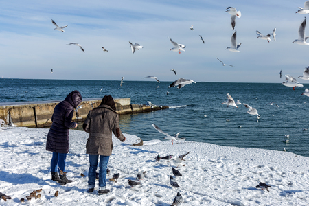 Odessa, Ukraine - January 19, 2016: Young girl feeds the hungry seagulls on the beach of the Black Sea winter. Hungry gulls circling over the people waiting for food.のeditorial素材