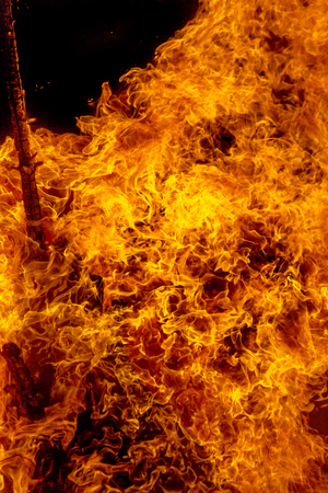 Burning campfire at night, combs flame as texture and background, strong branches burning trees of a forest fireの写真素材