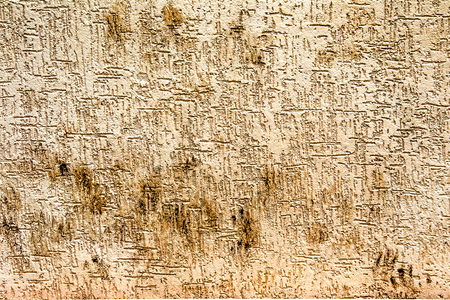 grunge textures and backgrounds - perfect background with space for text and imageの写真素材