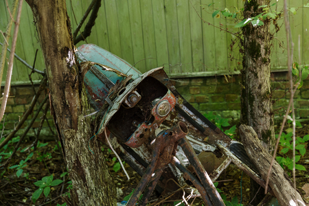 Ruins of house in radioactive dead zone Chernobyl. Destroyed abandoned house grows and dies in forest. Mystical Ruins of house in Chernobyl. Forest, trees absorb, destroy houses. Selective focusの写真素材