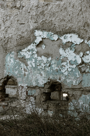 Vintage painted wooden background texture of wooden weathered rustic wall with peeling paint. Empty space for copy old wood texture. Cracked paint with lots of small cracks, abstract grunge textureの写真素材