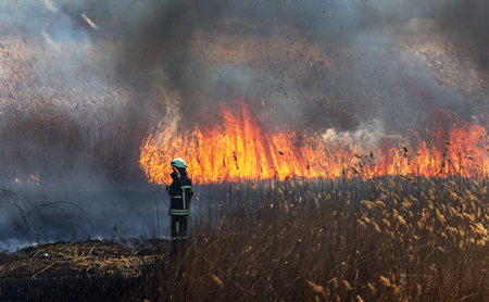 Raging forest spring fires. Burning dry grass, reed along lake. Grass is burning in meadow. Ecological catastrophy. Fire and smoke destroy all life. Firefighters extinguish Big fire. Lot of smokeの写真素材