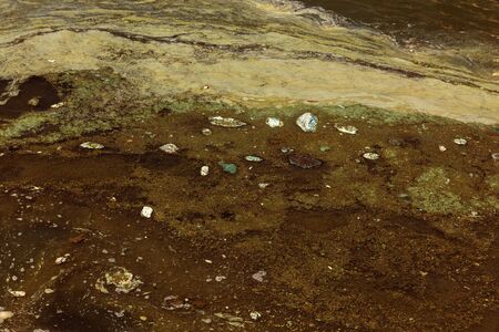 Dirty wave with old dirty algae. Dirty seaweed sea surf lines in seaport. Dirty sea, environmental...