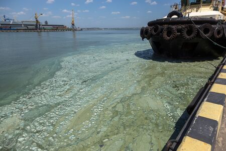 Dirty wave with old dirty algae. Dirty seaweed sea surf lines in seaport. Dirty sea, environmental...