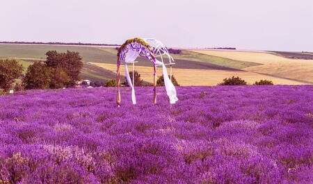 Lavender flowers in the sun in soft focus, pastel colors and blur background. Purple field of lavender. Provence with space for text. French lavender in the field, unsharp light effect. Short focusの写真素材