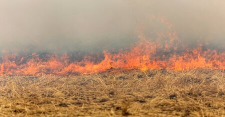 Forest and steppe fires dry completely destroy the fields and steppes during a severe drought. Disaster brings regular damage to nature and economy of region. Lights field with the harvest of wheatの写真素材