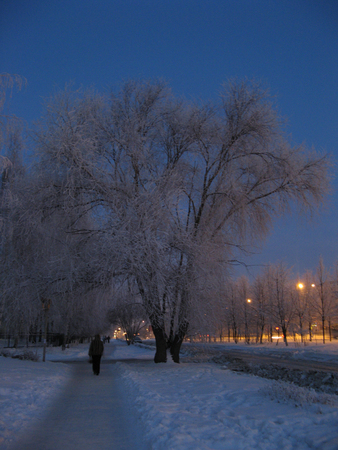 evening in the cityの写真素材