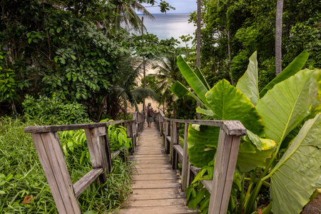 Wooden walkway to the beach with palm trees in the background