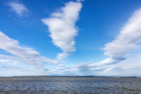 View of the st saline ponds of Gruissan.の写真素材