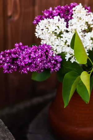 A bouquet of white and purple lilac in a vaseの写真素材