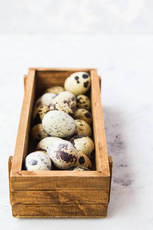 Quail eggs in a wooden boxの写真素材