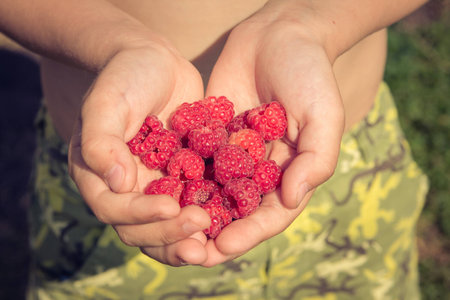 Raspberries in the boy's hands