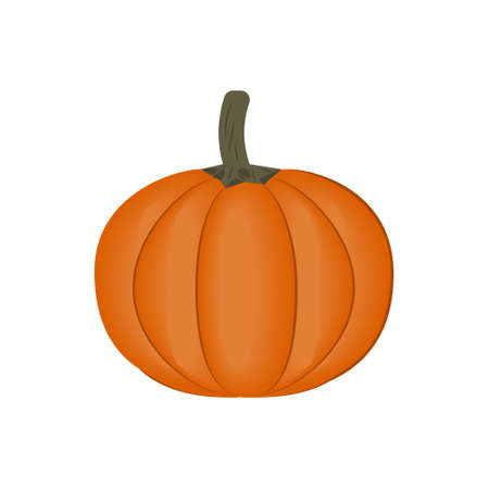 pumpkin vegetable, close-up isolated color on a white background, vector illustration, diet, design, iconのイラスト素材
