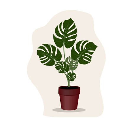 tropical flower in a monstera flower pot, isolated color vector illustration in flat style, design, decorationのイラスト素材