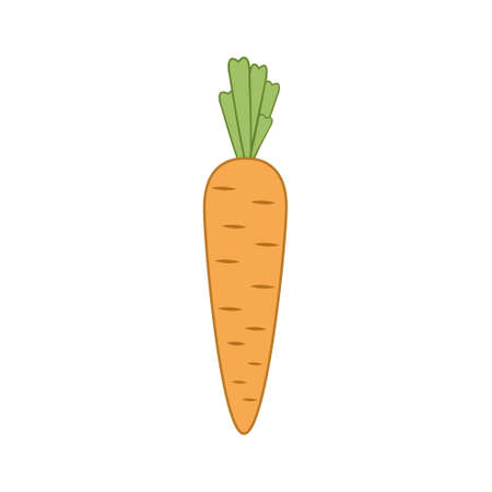 Carrot, color vector isolated illustration in flat style, decor, decoration, clipartのイラスト素材